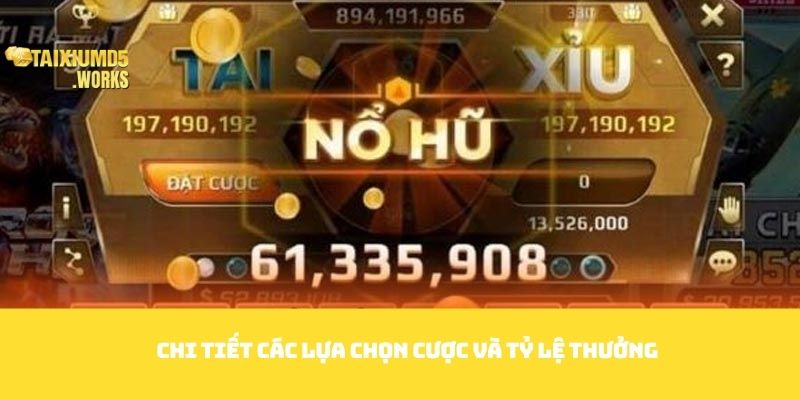Chi tiết các lựa chọn cược và tỷ lệ thưởng