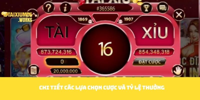 Chi tiết các lựa chọn cược và tỷ lệ thưởng