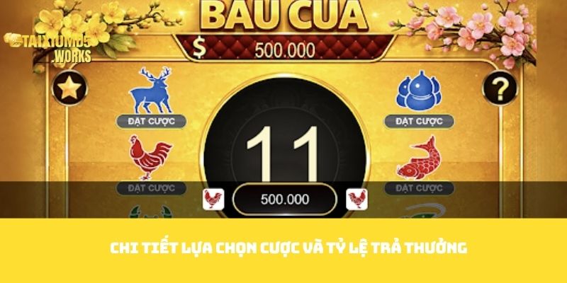 Chi tiết lựa chọn cược và tỷ lệ trả thưởng
