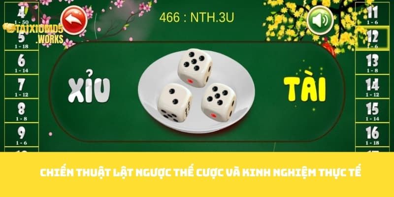Chiến thuật lật ngược thế cược và kinh nghiệm thực tế
