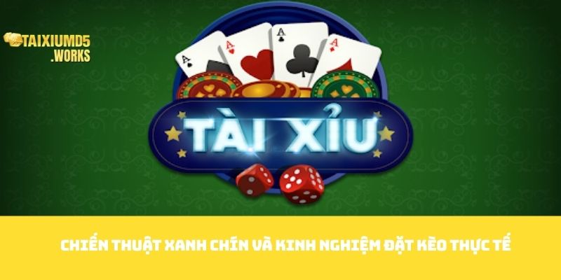 Chiến thuật xanh chín và kinh nghiệm đặt kèo thực tế