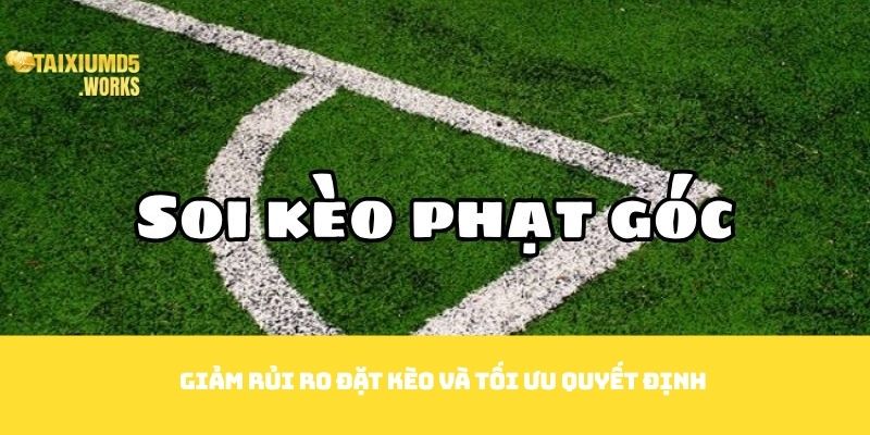 Giảm rủi ro đặt kèo và tối ưu quyết định