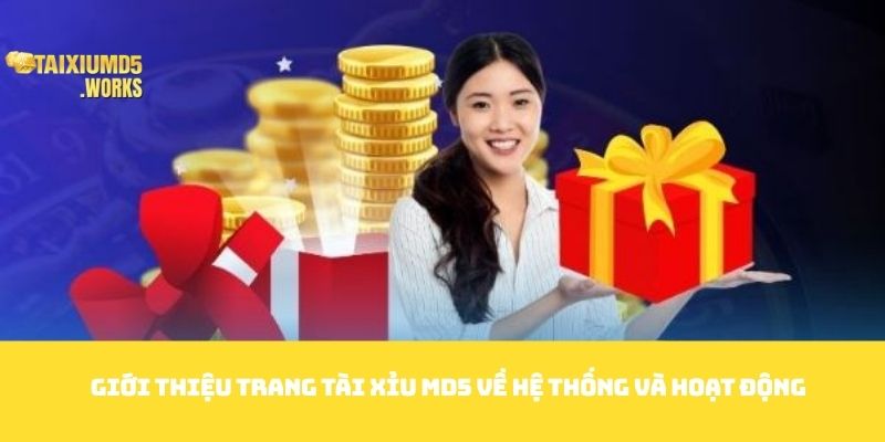 Giới thiệu trang Tài Xỉu MD5 về hệ thống và hoạt động 