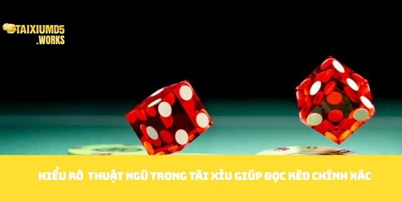 Hiểu rõ Thuật ngữ trong tài xỉu giúp đọc kèo chính xác