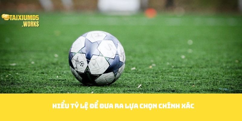 Hiểu tỷ lệ để đưa ra lựa chọn chính xác