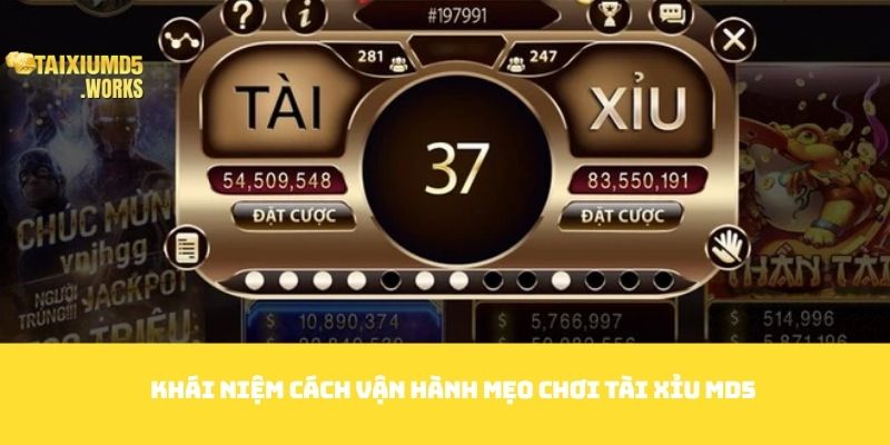 Khái niệm cách vận hành mẹo chơi tài xỉu md5