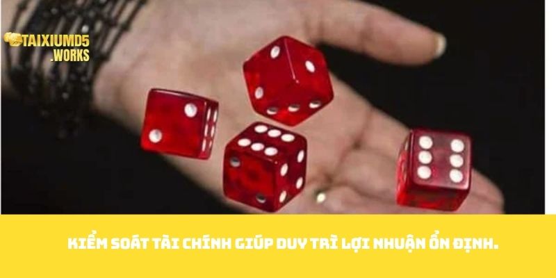 Kiểm soát tài chính giúp duy trì lợi nhuận ổn định