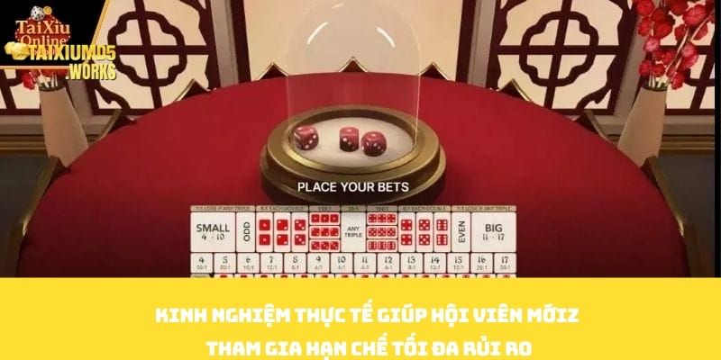 Kinh nghiệm thực tế giúp hội viên mới tham gia hạn chế tối đa rủi ro