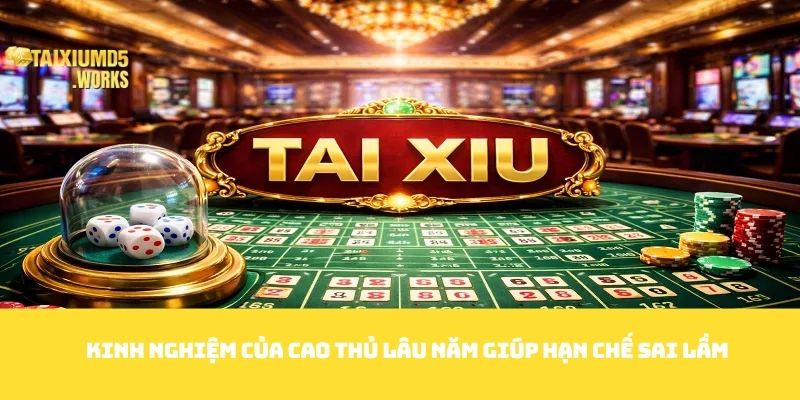Kinh nghiệm của cao thủ lâu năm giúp hạn chế sai lầm