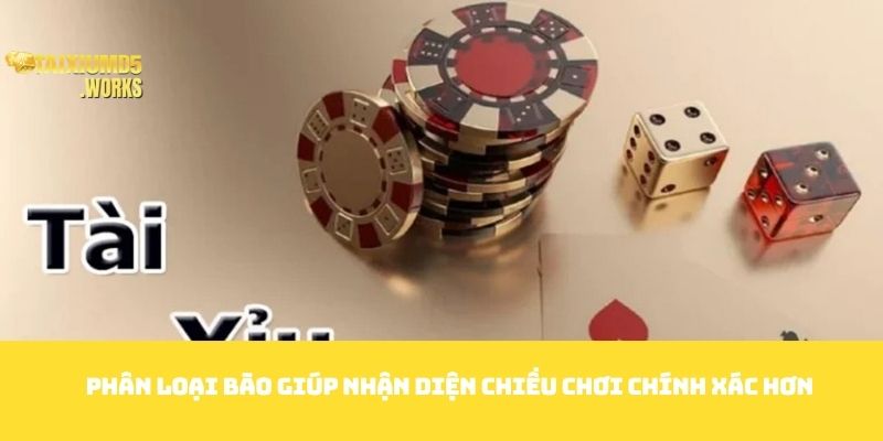 Phân loại bão giúp nhận diện chiều chơi chính xác hơn