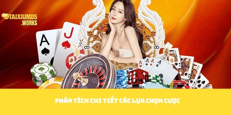 Phân tích chi tiết các lựa chọn cược