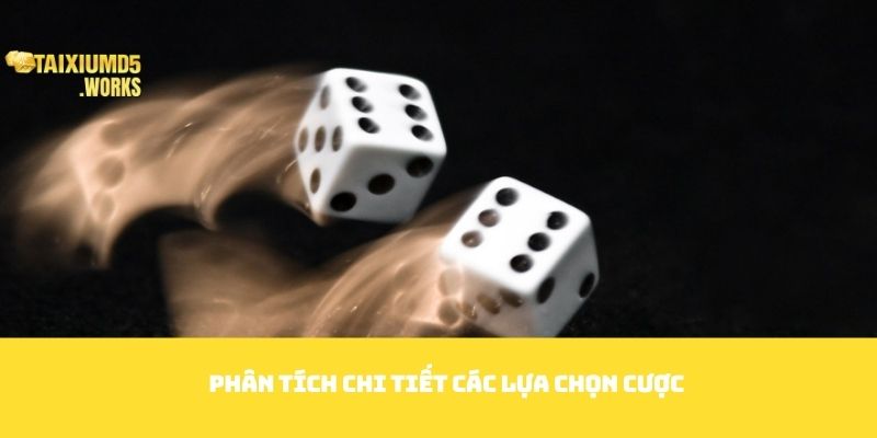 Phân tích chi tiết các lựa chọn cược
