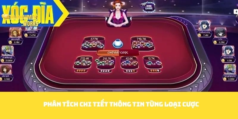 Phân tích chi tiết thông tin từng loại cược