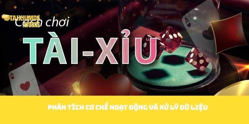 Phân tích cơ chế hoạt động và xử lý dữ liệu