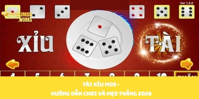 Tài Xỉu Md5 - Hướng Dẫn Chơi Và Mẹo Thắng 2026