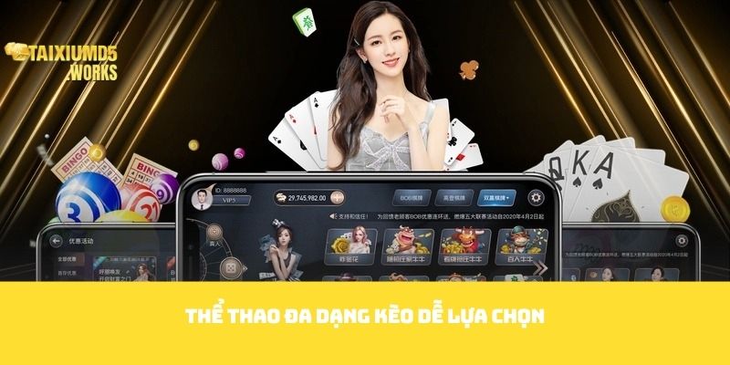 Thể thao đa dạng kèo dễ lựa chọn