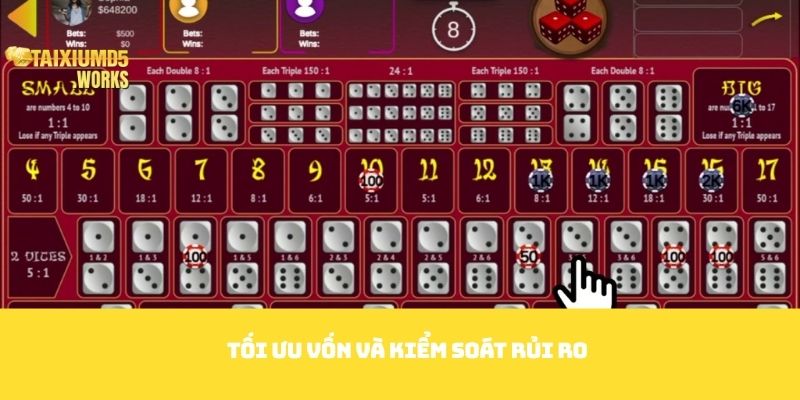 Tối ưu vốn và kiểm soát rủi ro