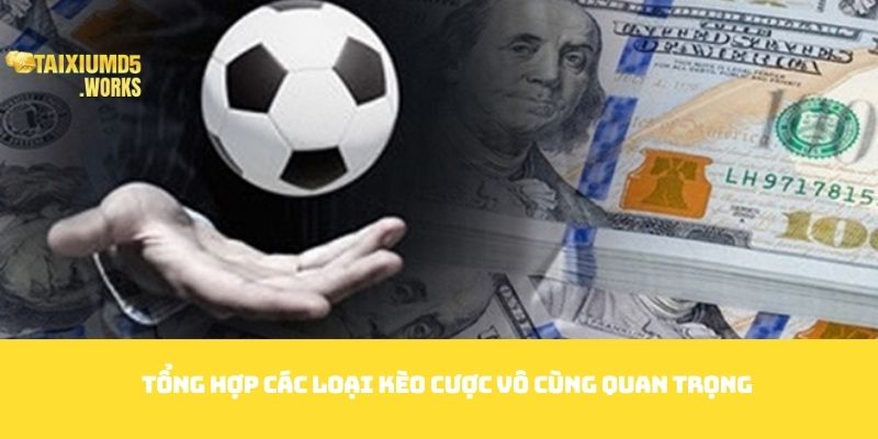 Tổng hợp các loại kèo cược vô cùng quan trọng