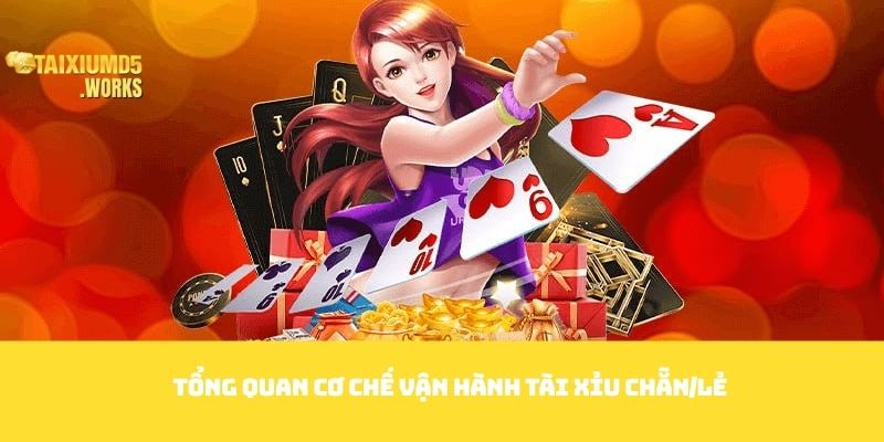 Tổng quan cơ chế vận hành Tài xỉu chẵn/lẻ