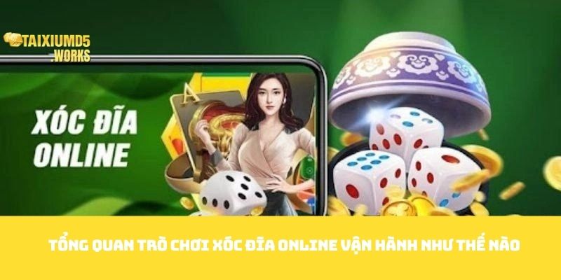 Tổng quan trò chơi xóc đĩa online vận hành như thế nào 
