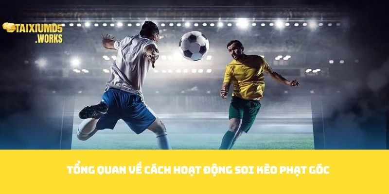 Tổng quan về cách hoạt động Soi kèo phạt góc